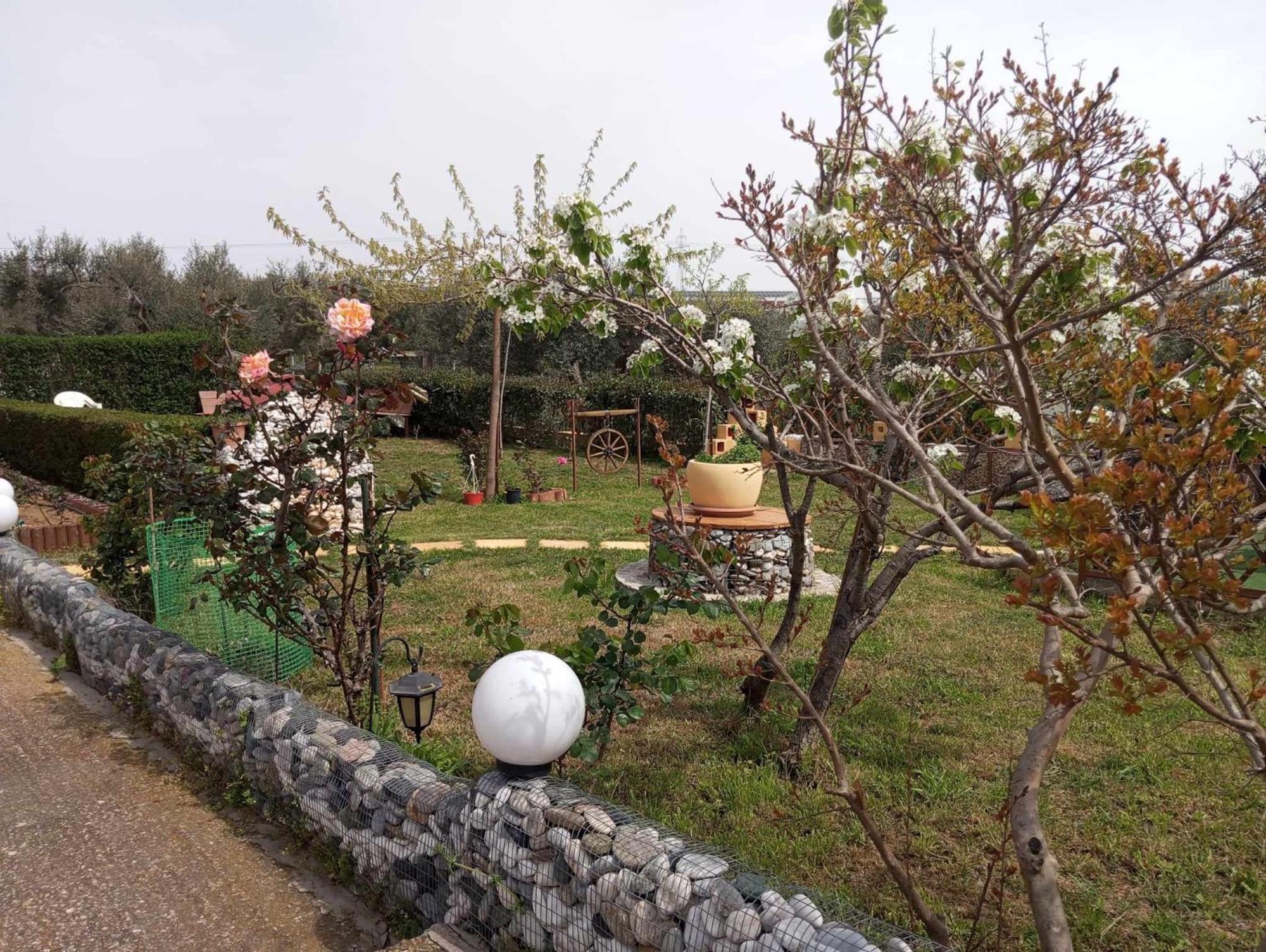 Dora'S Garden Villa Александроуполис Экстерьер фото